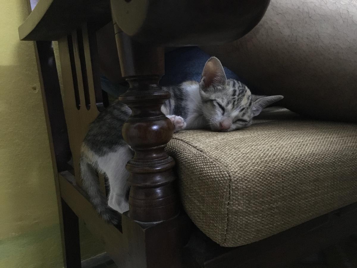 Nha Homestay Da Nang Zewnętrze zdjęcie