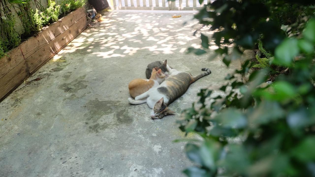 Nha Homestay Da Nang Zewnętrze zdjęcie