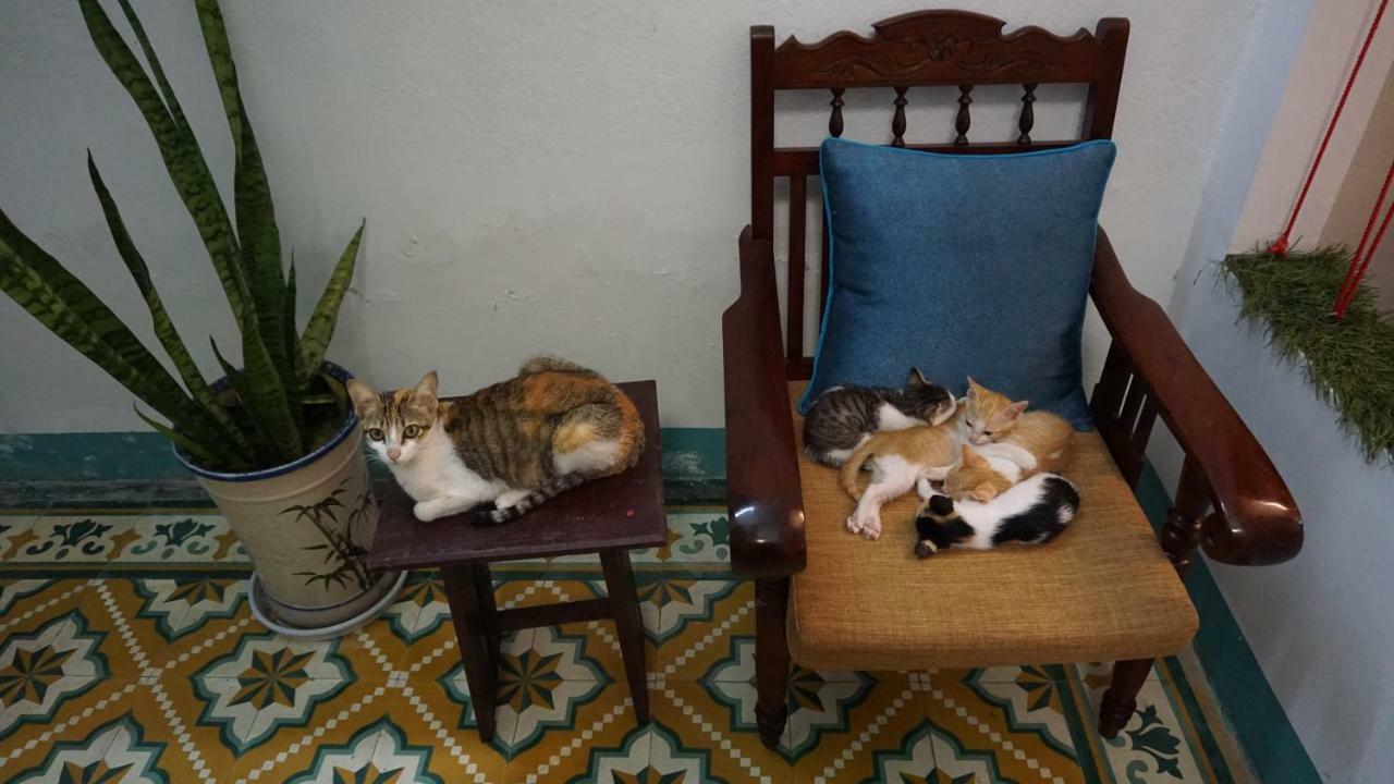 Nha Homestay Da Nang Zewnętrze zdjęcie