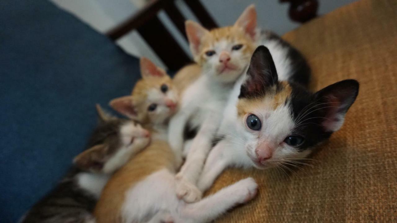 Nha Homestay Da Nang Zewnętrze zdjęcie