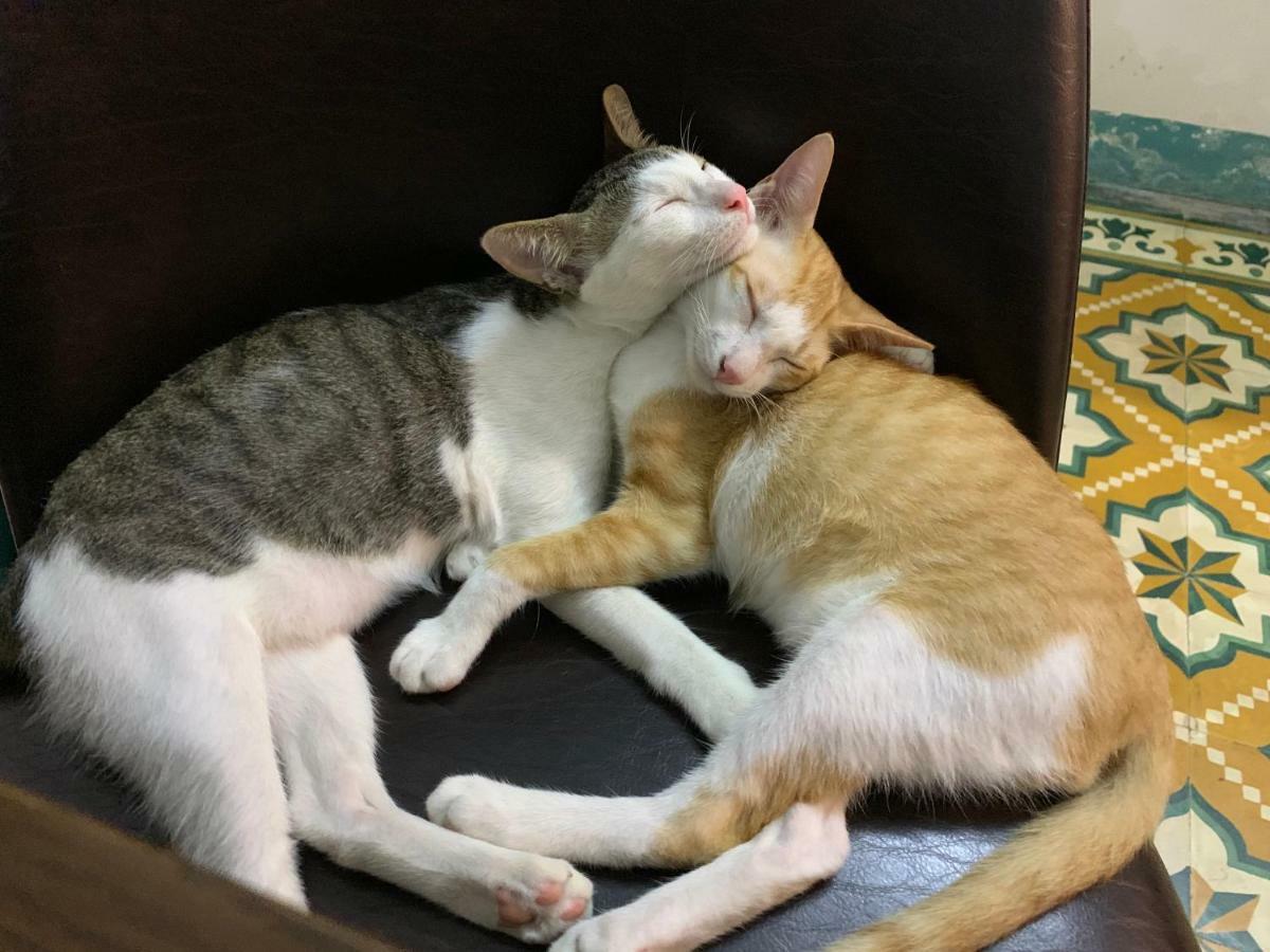 Nha Homestay Da Nang Zewnętrze zdjęcie