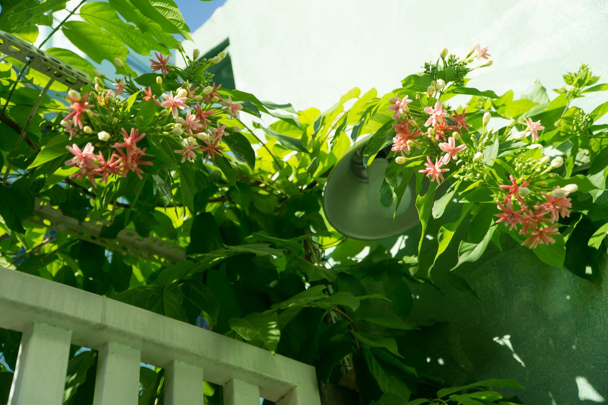 Nha Homestay Da Nang Zewnętrze zdjęcie